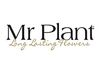 Mr.Plant