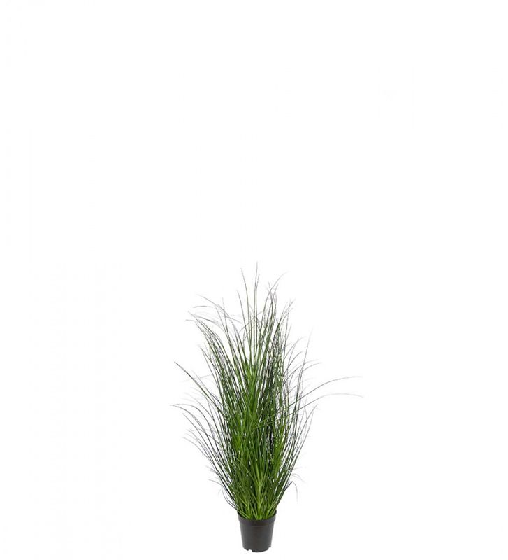 Gress 90cm