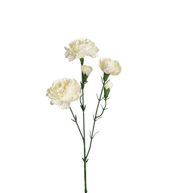 Nellik Hvit 65cm
