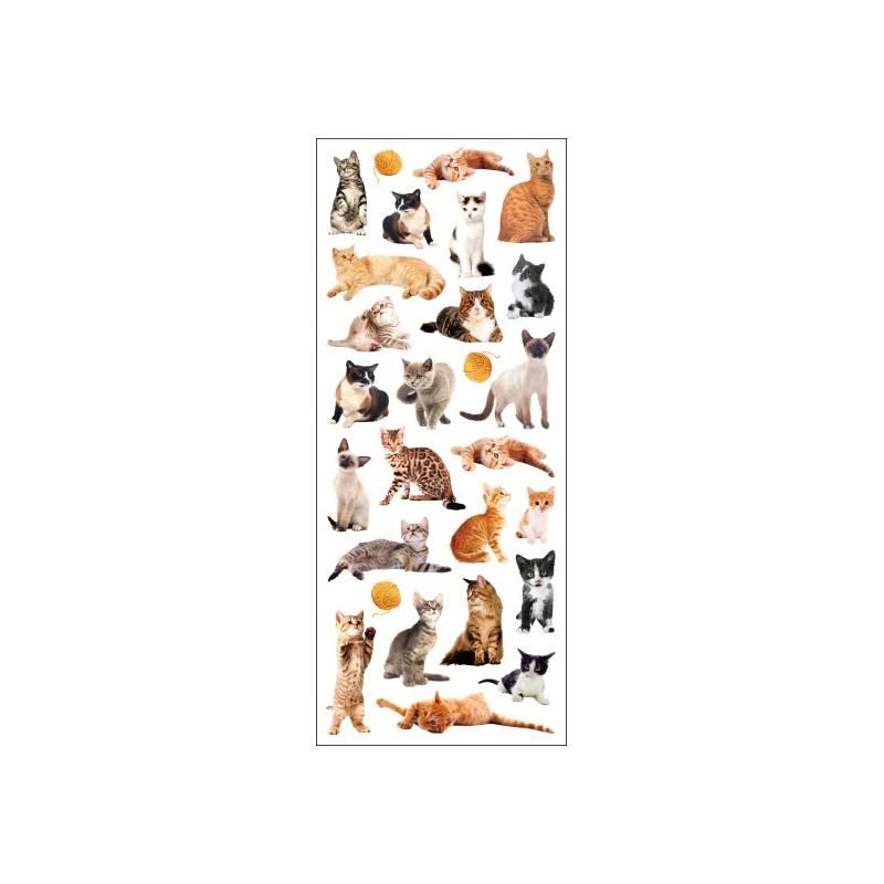 Tinka stickers katt