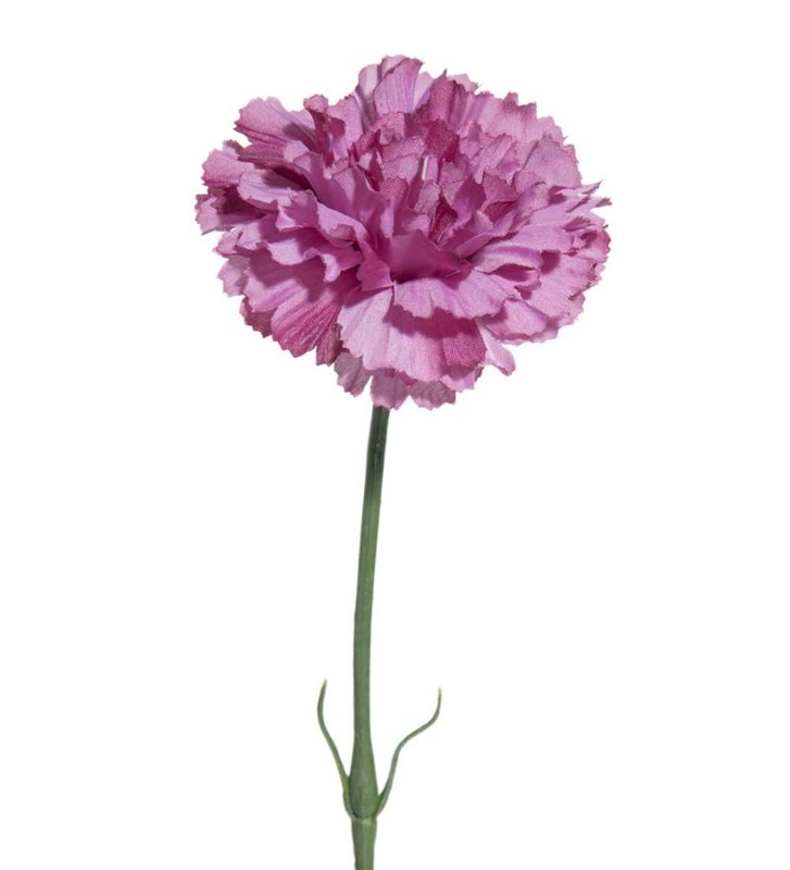 Nellik Rosa 55cm
