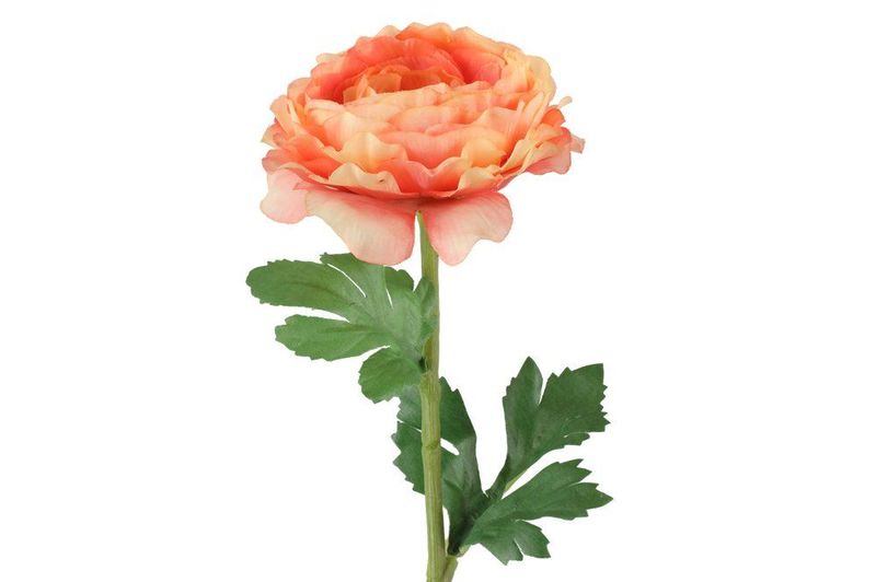 Ranunculus 47cm 3ass