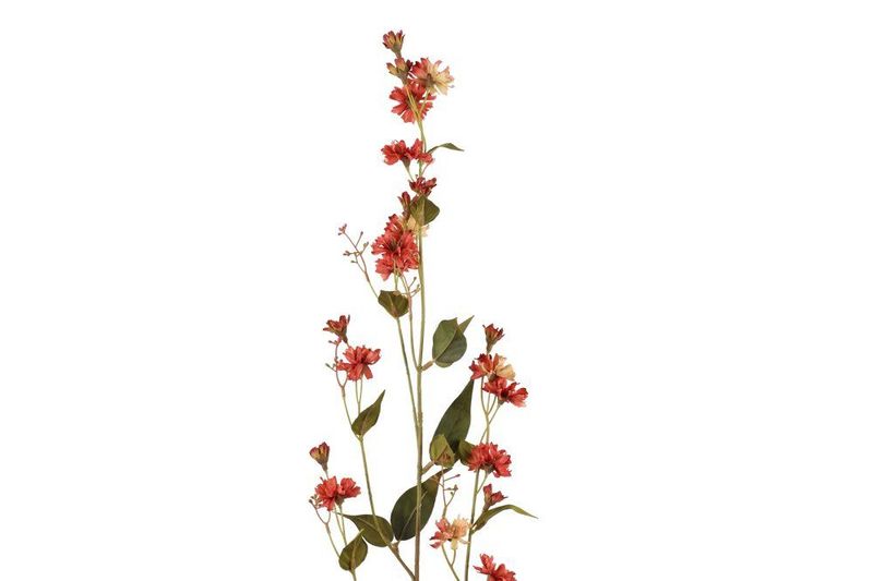 Hieracium 102cm 3ass farger