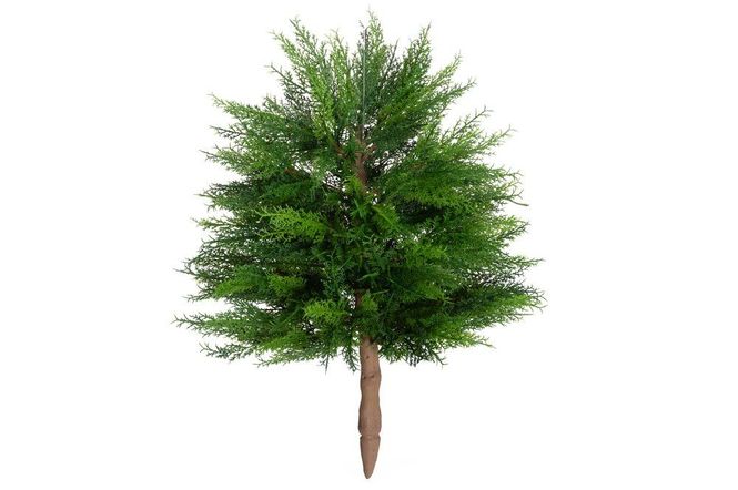Hovedbilde Thuja 43cm